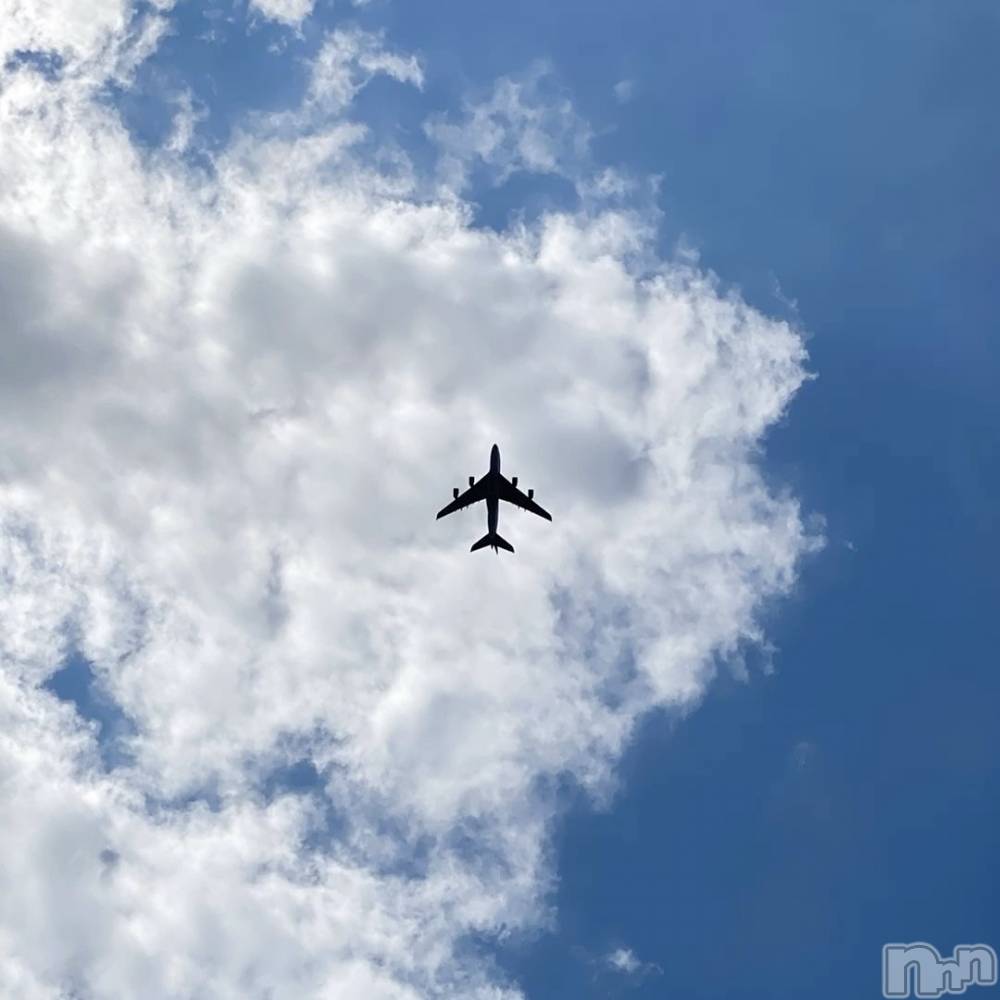 ��ˬ����Х��顦����֥���� �ץ���� ��ˬ(����� �ץ���� ����) �ϰ� �椺���8��29���̥�֥�����🤍��