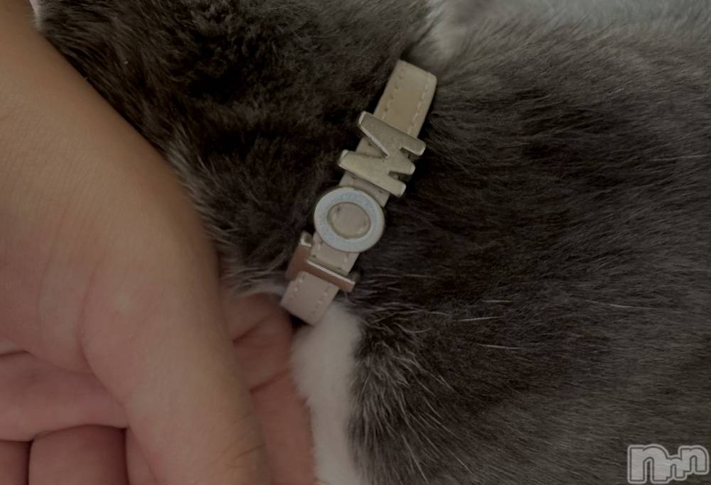 ��ˬ����Х��顦����֥���� �ץ���� ��ˬ(����� �ץ���� ����) �ϰ� �椺���9��2���̥�֥�����🖤��