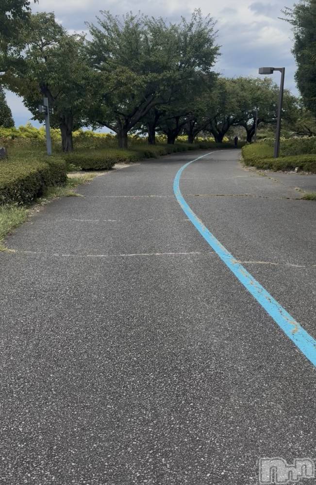 ��ˬ����Х��顦����֥���� �ץ���� ��ˬ(����� �ץ���� ����) �ϰ� �椺���9��25���̥�֥�����🩶��