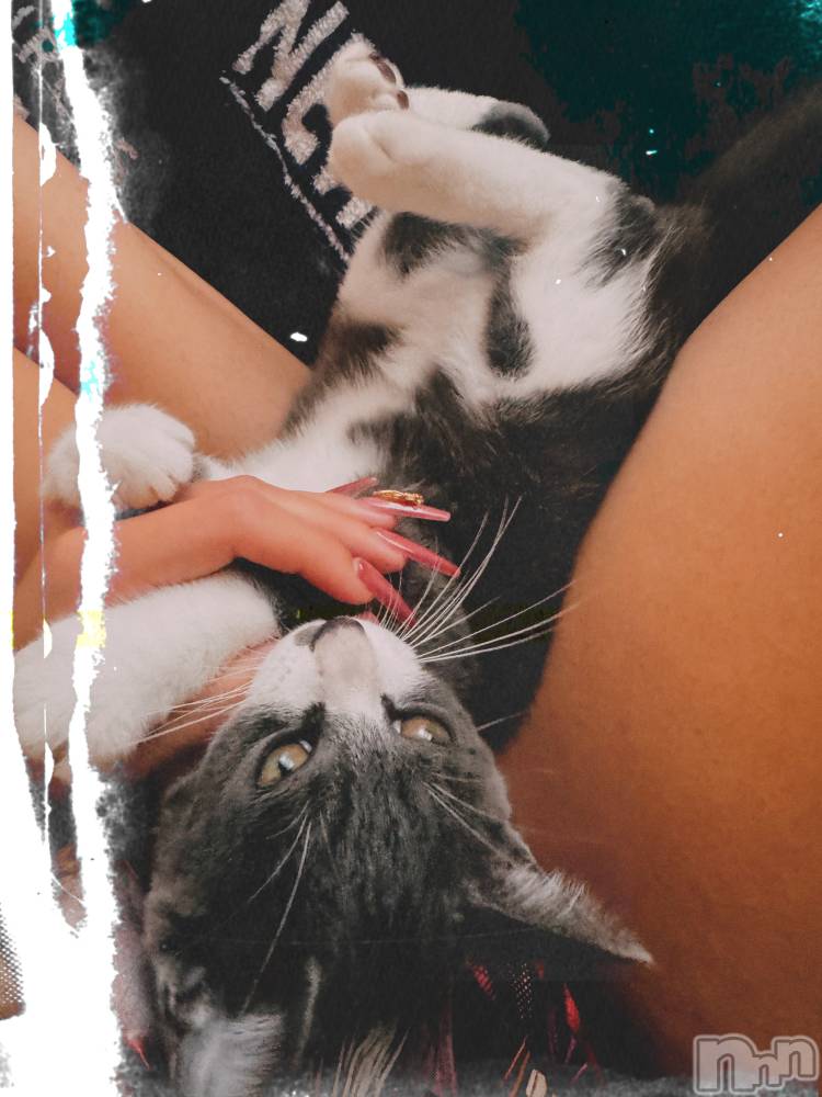 ��ˬ����Х��顦����֥���� �ץ���� ��ˬ(����� �ץ���� ����) �ϰ� �椺���9��27���̥�֥�����🖤��