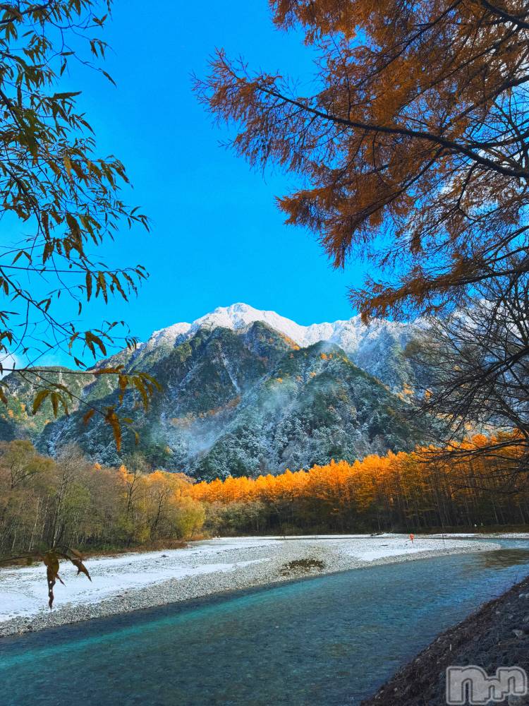 ��ˬ����Х��顦����֥���� �ץ���� ��ˬ(����� �ץ���� ����) �ϰ� �椺���11��4���̥�֥�����🧡��