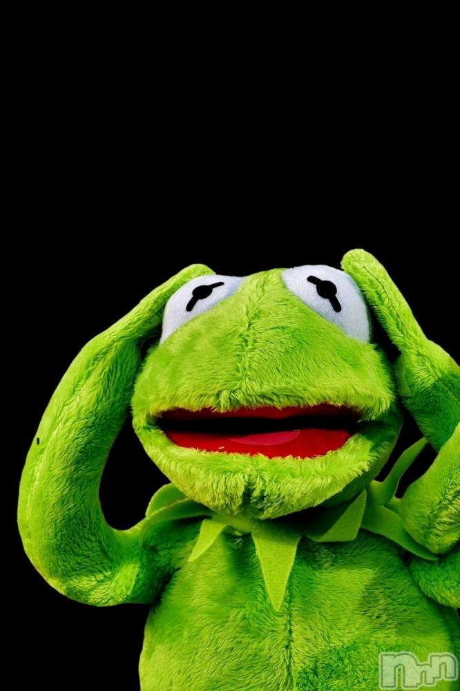 ��ˬ����Х��顦����֥���� �ץ���� ��ˬ(����� �ץ���� ����) �ϰ� �椺���11��19���̥�֥�����💚��