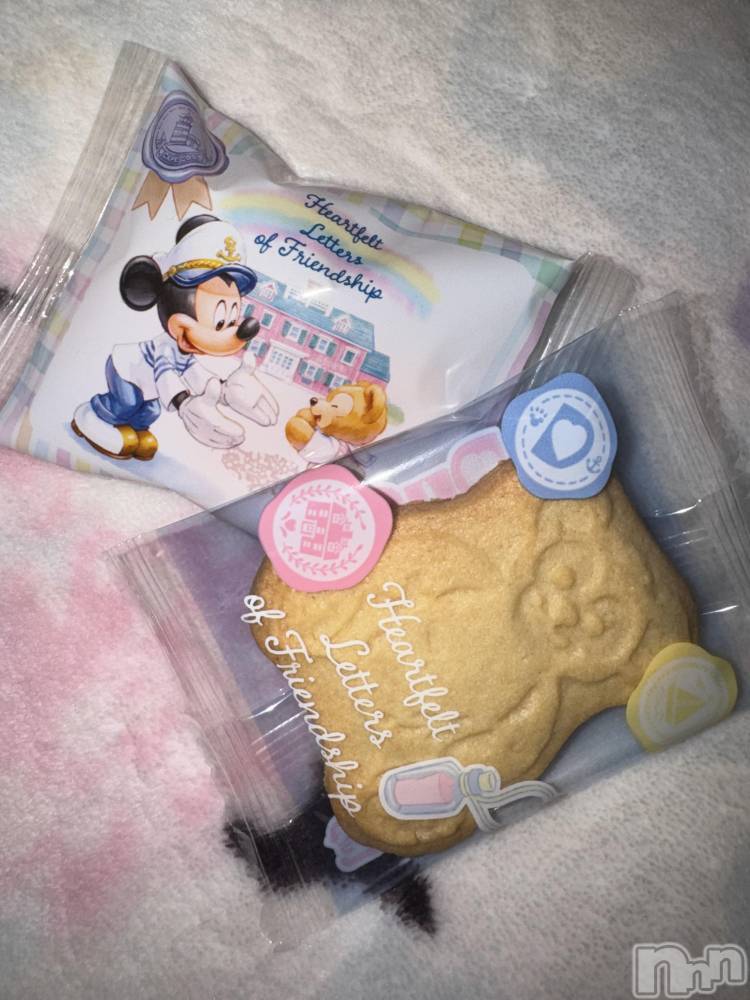 ��ˬ����Х��顦����֥���� �ץ���� ��ˬ(����� �ץ���� ����) �̰� �椤��3��3���̥�֥�����🩵��