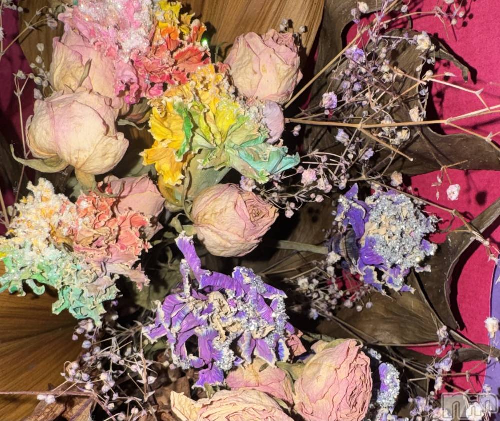 ��ˬ����Х��顦����֥���� �ץ���� ��ˬ(����� �ץ���� ����) �ϰ� �椺���3��18���̥�֥�����🩷��