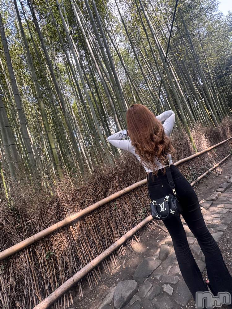 ��ˬ����Х��顦����֥���� �ץ���� ��ˬ(����� �ץ���� ����) �ϰ� �椺���3��31���̥�֥�����💚��