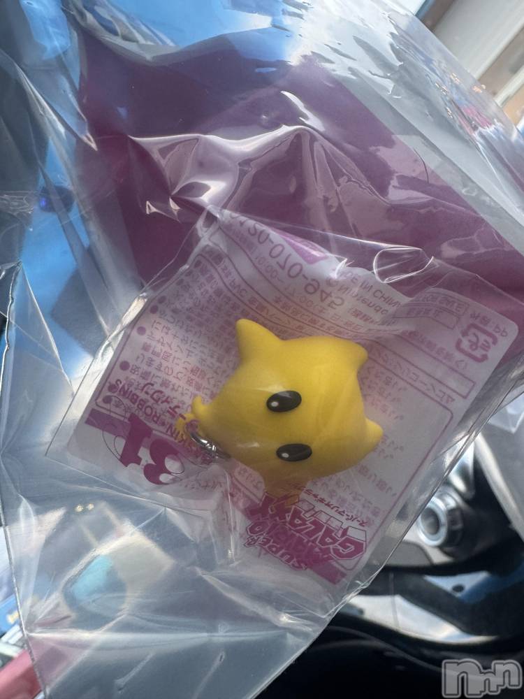 ��ˬ����Х��顦����֥���� �ץ���� ��ˬ(����� �ץ���� ����) �ϰ� �椺���4��7���̥�֥�����💛��