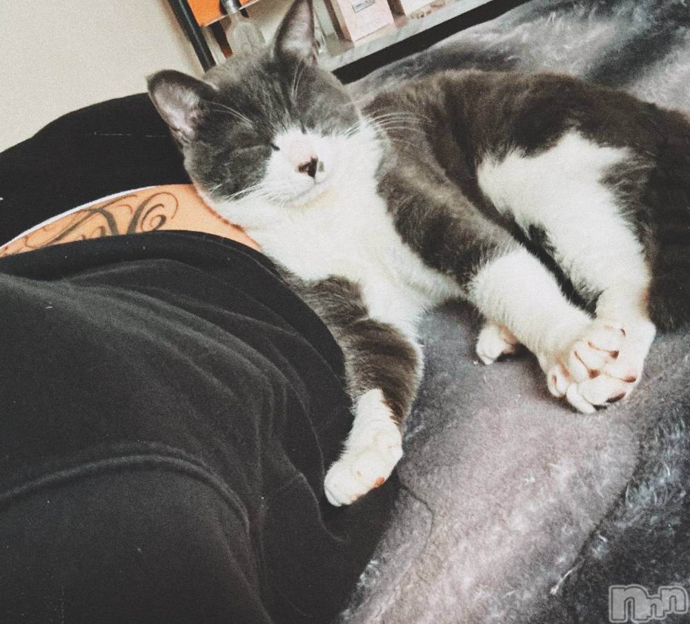 ��ˬ����Х��顦����֥���� �ץ���� ��ˬ(����� �ץ���� ����) �ϰ� �椺���4��10���̥�֥�����🖤��