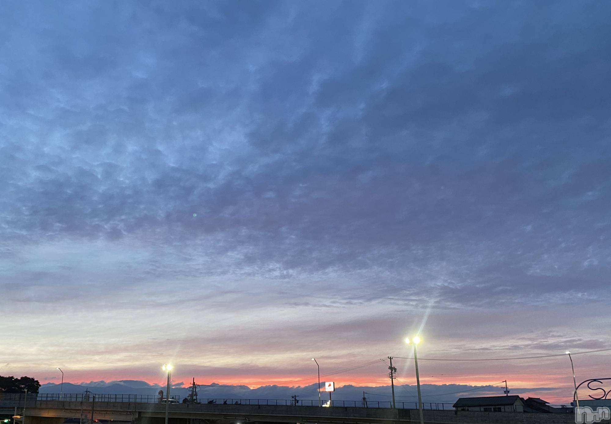 ��ˬ����Х��顦����֥���� �ץ���� ��ˬ(����� �ץ���� ����) ��2024ǯ7��11���̥�֥�����💛��