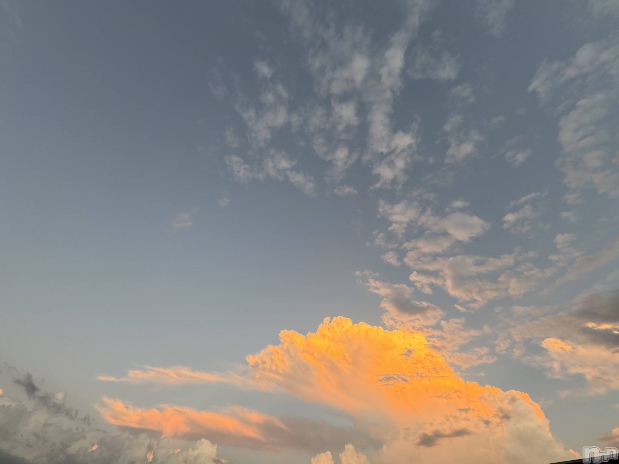 ��ˬ����Х��顦����֥���� �ץ���� ��ˬ(����� �ץ���� ����) ��2024ǯ8��22���̥�֥�����🩵��