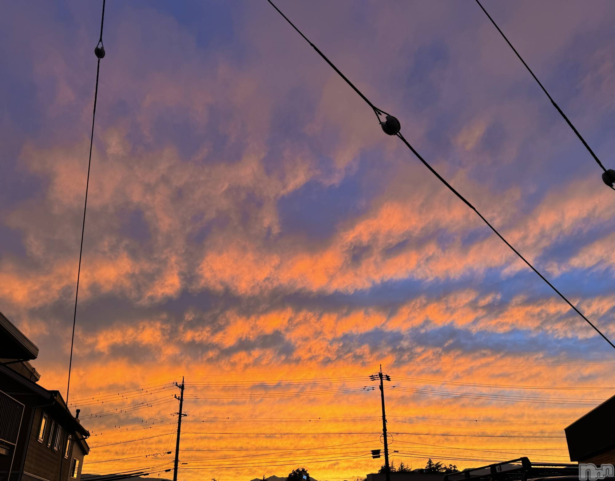 ��ˬ����Х��顦����֥���� �ץ���� ��ˬ(����� �ץ���� ����) ��2024ǯ9��25���̥�֥�����🧡��