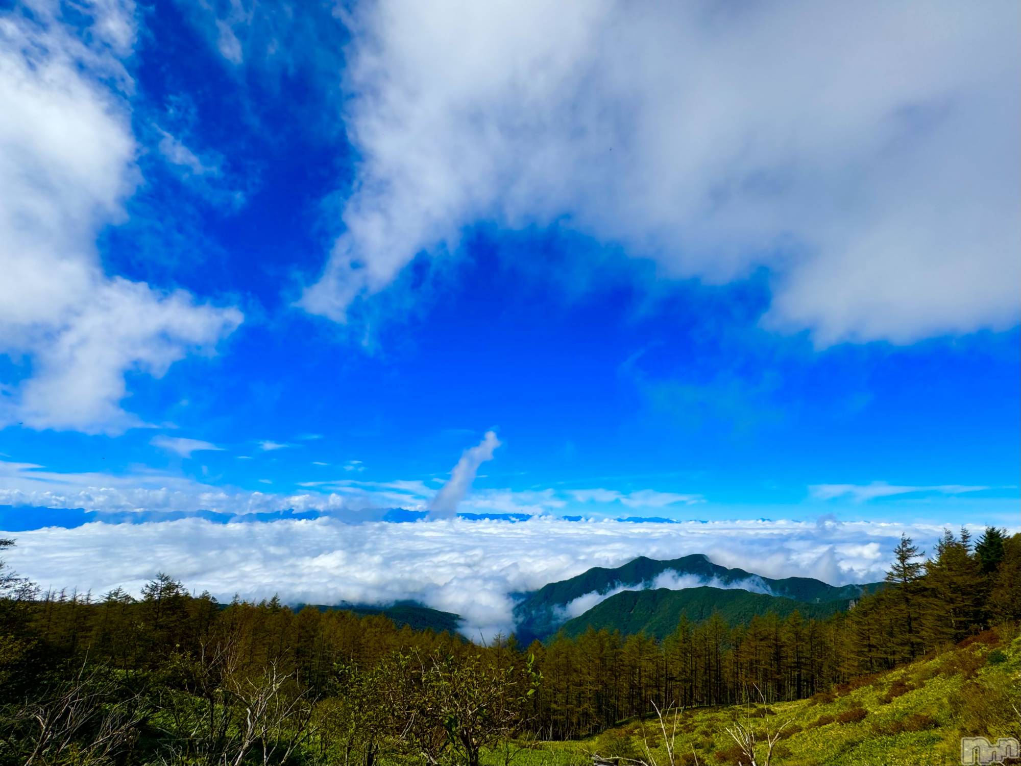 ��ˬ����Х��顦����֥���� �ץ���� ��ˬ(����� �ץ���� ����) ��2024ǯ10��8���̥�֥�����🩵��