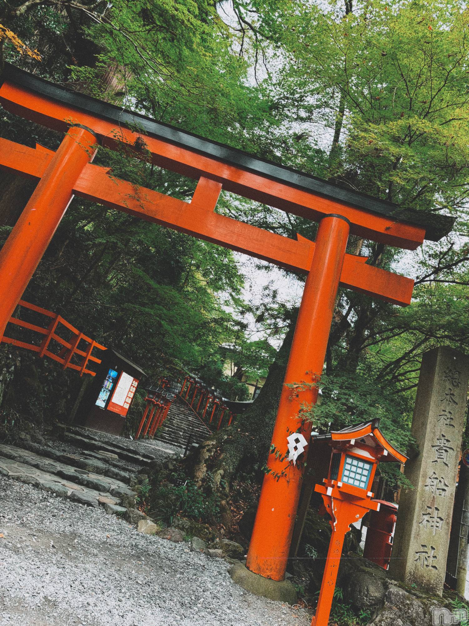 ��ˬ����Х��顦����֥���� �ץ���� ��ˬ(����� �ץ���� ����) ��2024ǯ10��24���̥�֥�����❤️��