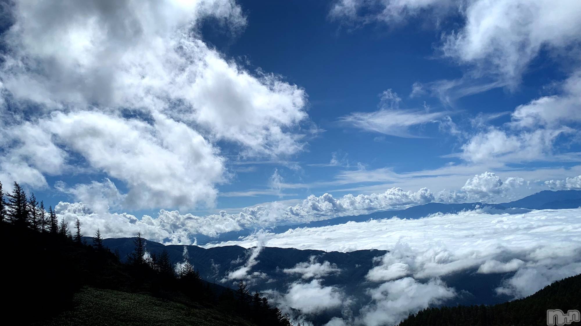 ��ˬ����Х��顦����֥���� �ץ���� ��ˬ(����� �ץ���� ����) ��2024ǯ11��15���̥�֥�����🩵��