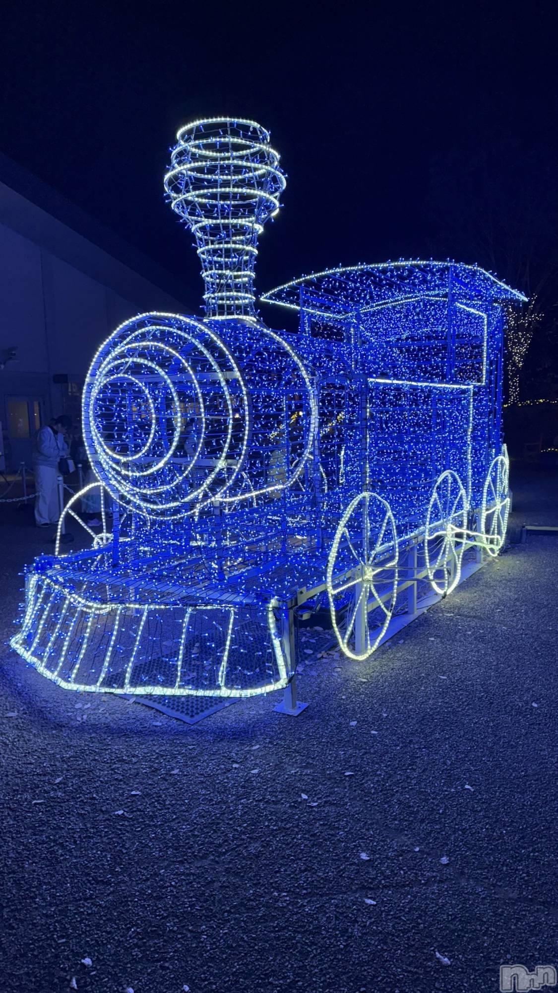 ��ˬ����Х��顦����֥���� �ץ���� ��ˬ(����� �ץ���� ����) ��2024ǯ11��28���̥�֥�����🩵��