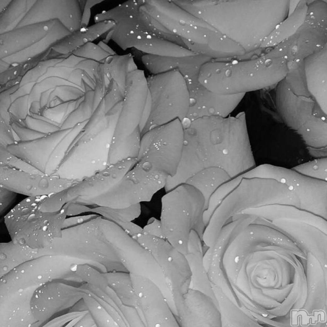 ��ˬ����Х��顦����֥���� �ץ���� ��ˬ(����� �ץ���� ����) ��2024ǯ12��11���̥�֥�����🖤��