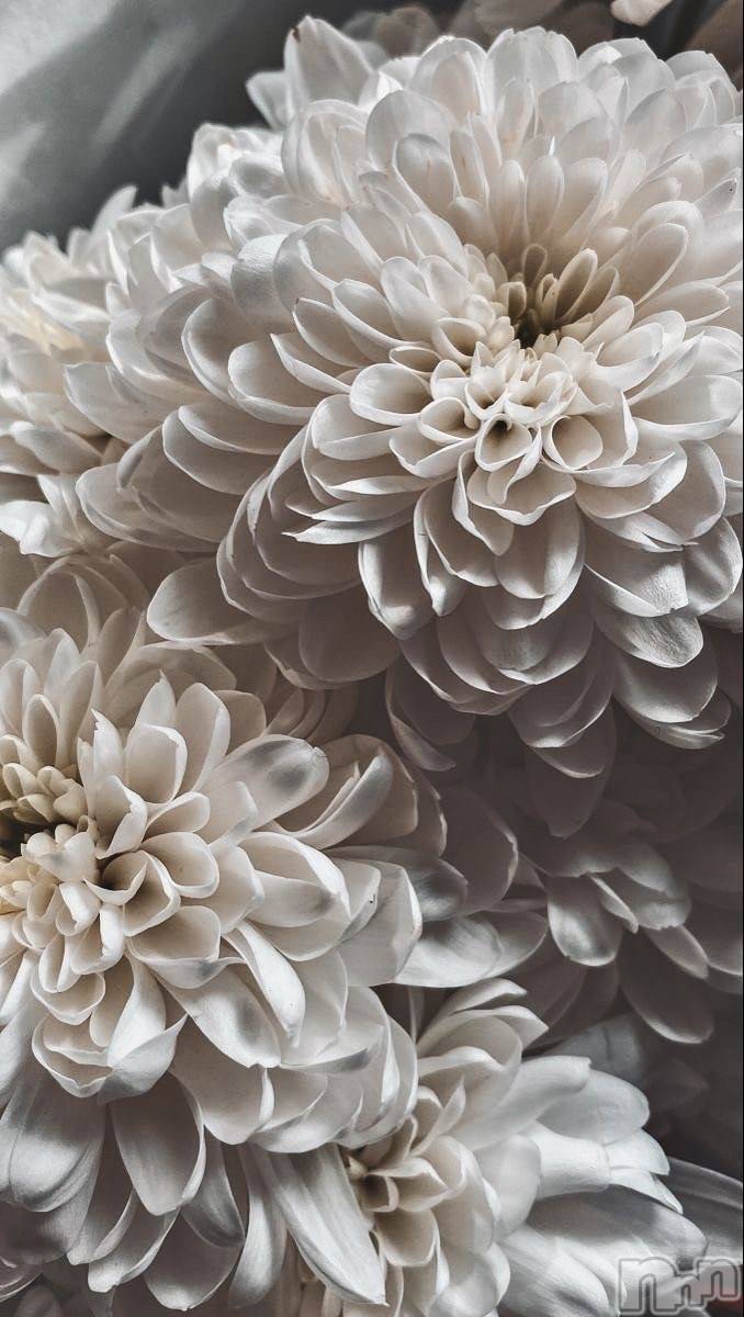 ��ˬ����Х��顦����֥���� �ץ���� ��ˬ(����� �ץ���� ����) ��2024ǯ12��21���̥�֥�����🤍��