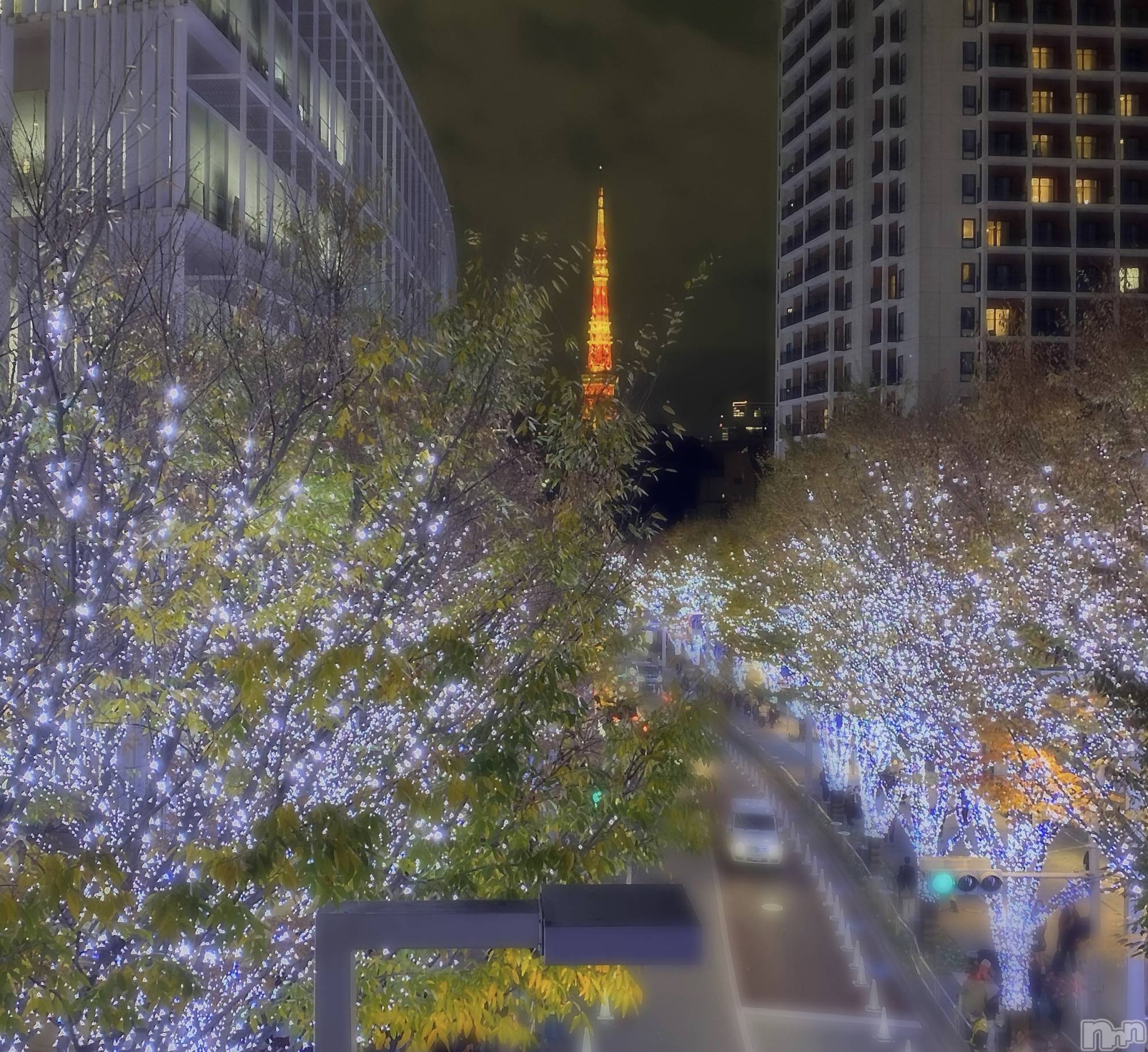 ��ˬ����Х��顦����֥���� �ץ���� ��ˬ(����� �ץ���� ����) ��2025ǯ2��1���̥�֥�����🩵��