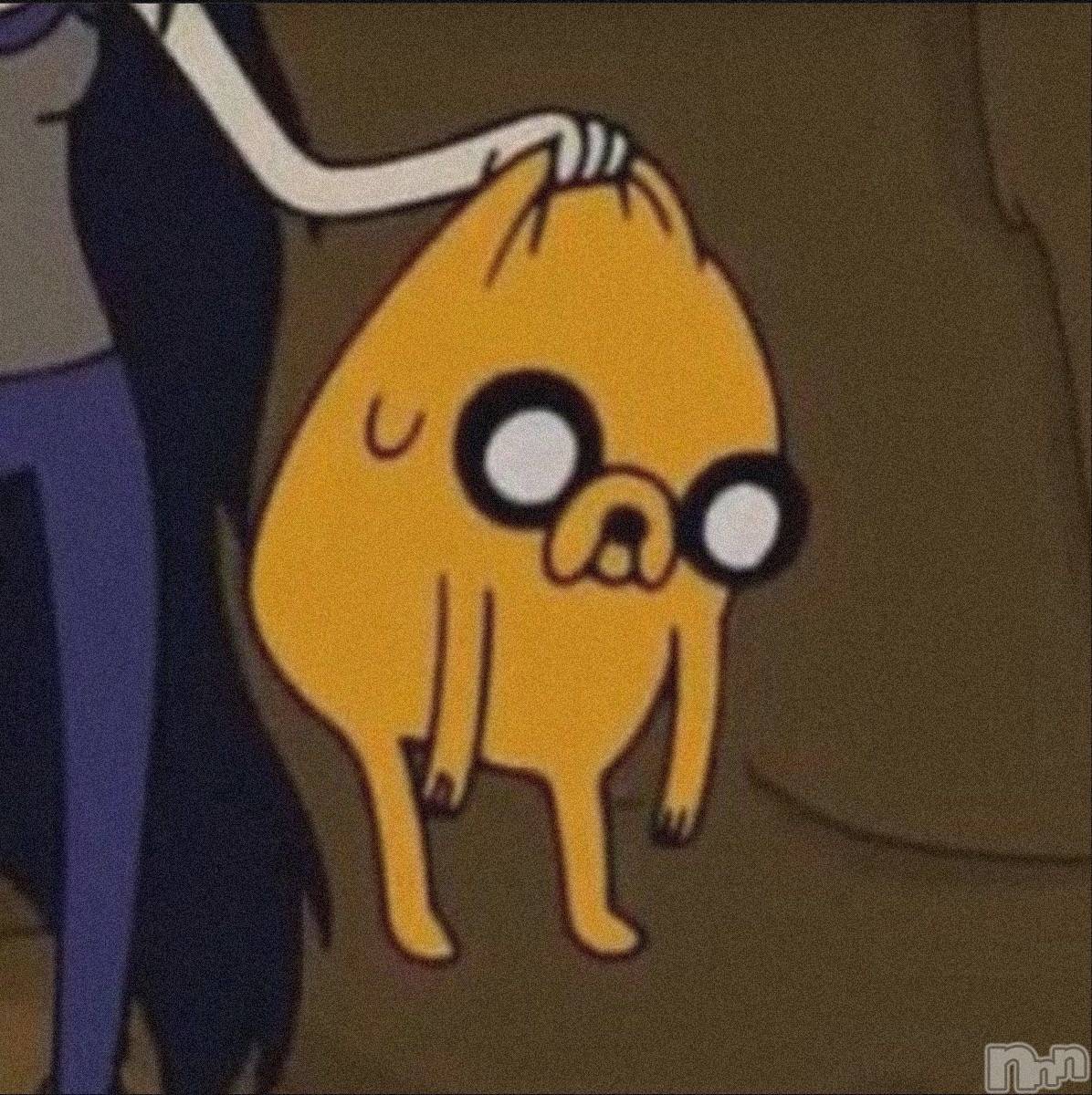 ��ˬ����Х��顦����֥���� �ץ���� ��ˬ(����� �ץ���� ����) ��2025ǯ2��15���̥�֥�����💛��