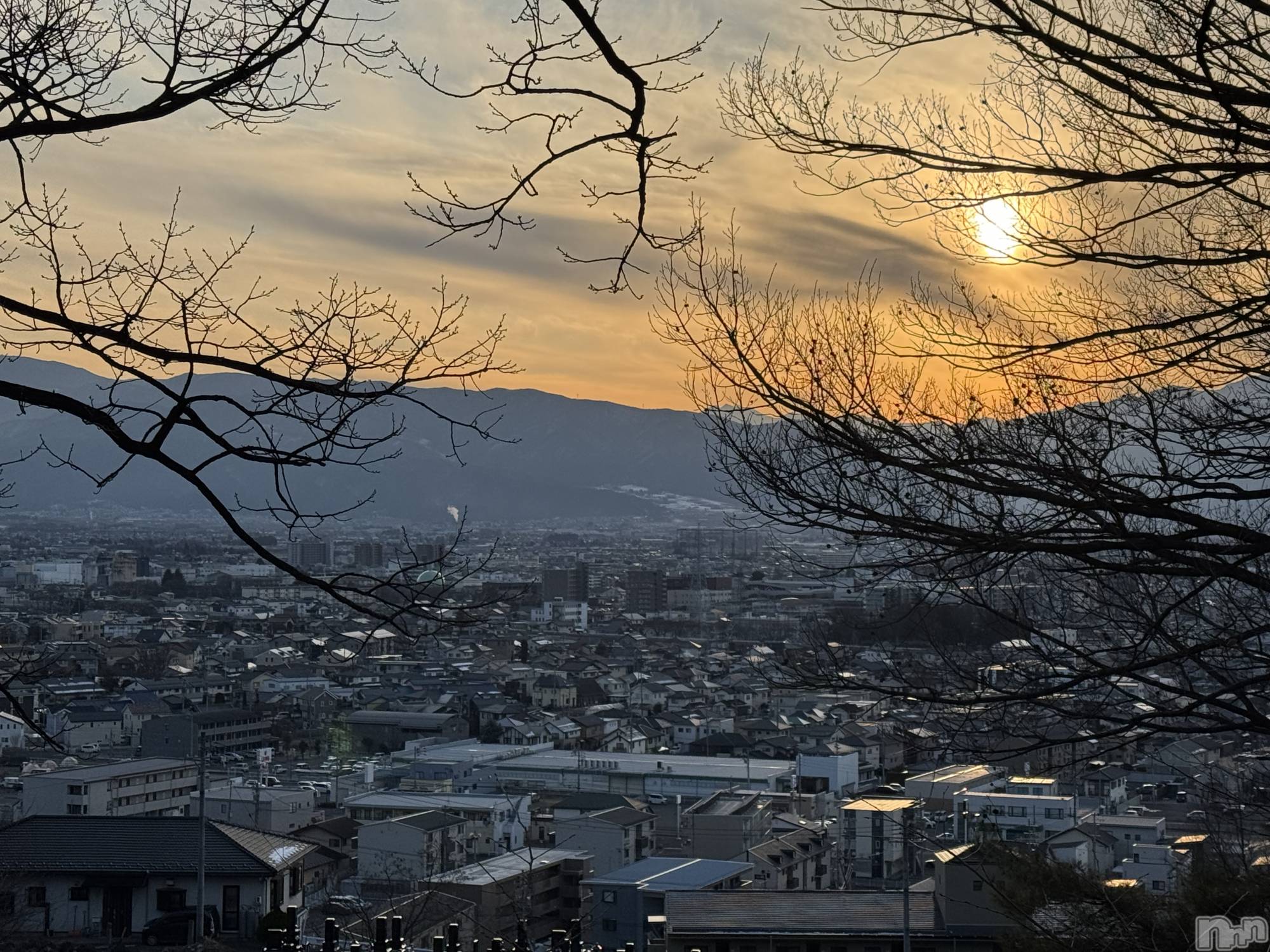 ��ˬ����Х��顦����֥���� �ץ���� ��ˬ(����� �ץ���� ����) ��2025ǯ3��14���̥�֥�����🧡��