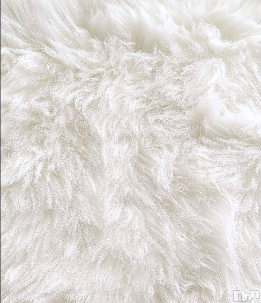 ��ˬ����Х��顦����֥���� �ץ���� ��ˬ(����� �ץ���� ����) ��2025ǯ3��15���̥�֥�����🤍��