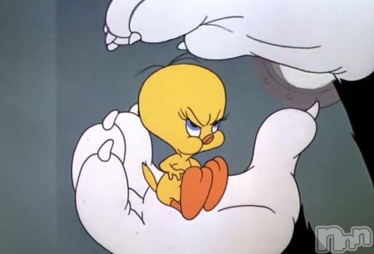 ��ˬ����Х��顦����֥���� �ץ���� ��ˬ(����� �ץ���� ����) ��2025ǯ4��2���̥�֥�����💛��