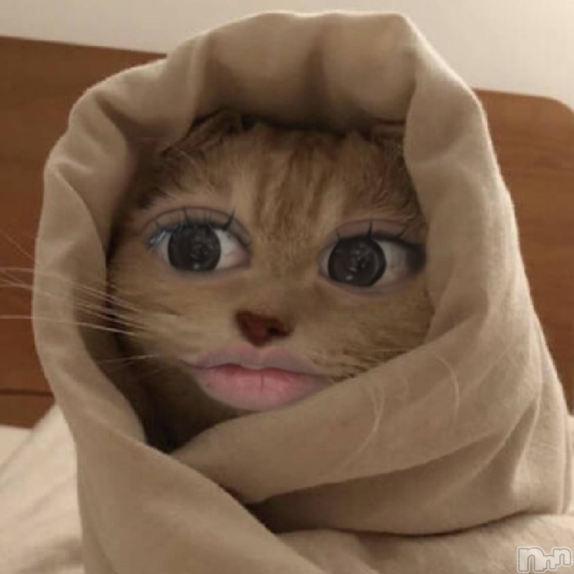 ��ˬ����Х��顦����֥���� �ץ���� ��ˬ(����� �ץ���� ����) ��2025ǯ4��10���̥�֥�����🤎��