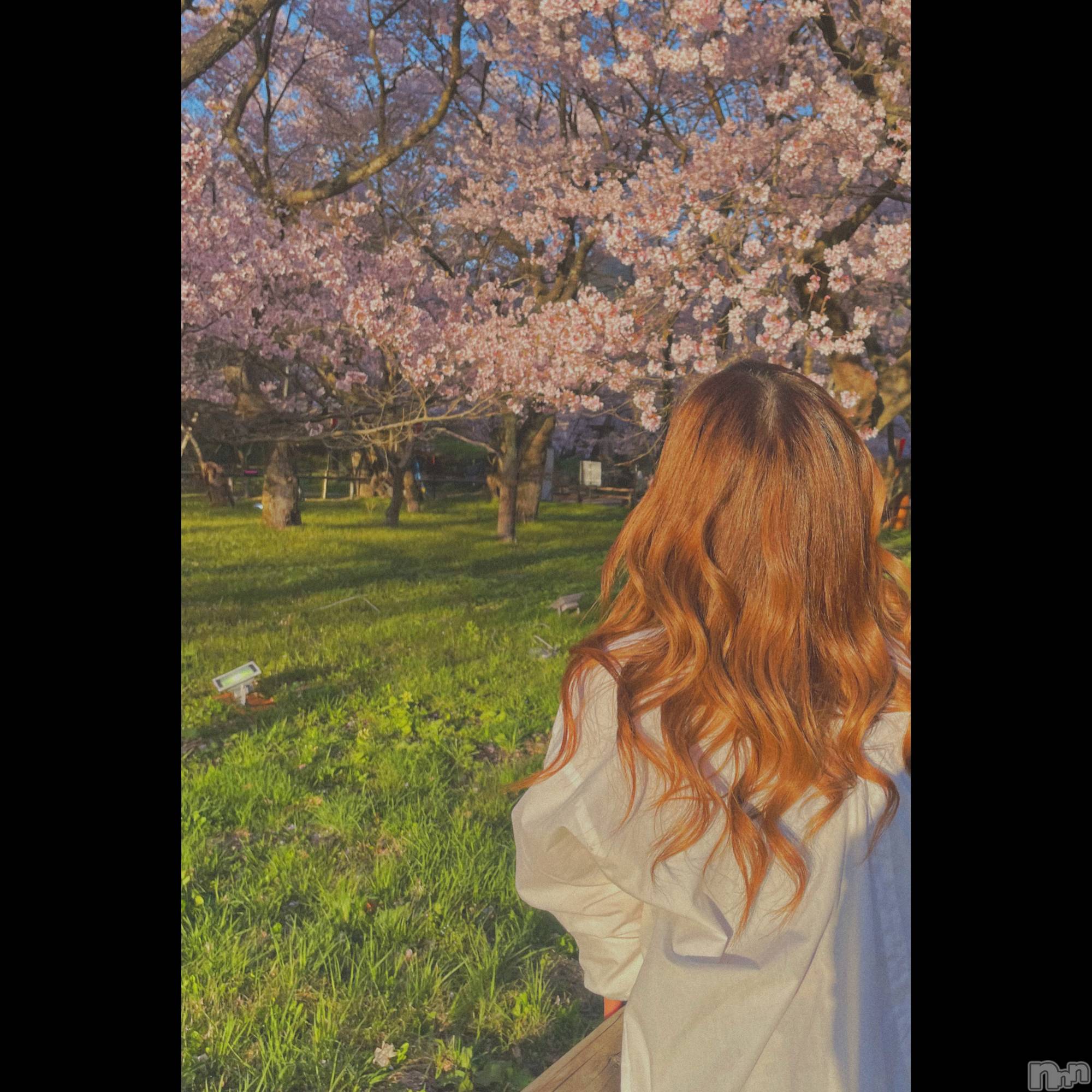 ��ˬ����Х��顦����֥���� �ץ���� ��ˬ(����� �ץ���� ����) ��2025ǯ4��17���̥�֥�����🩷��