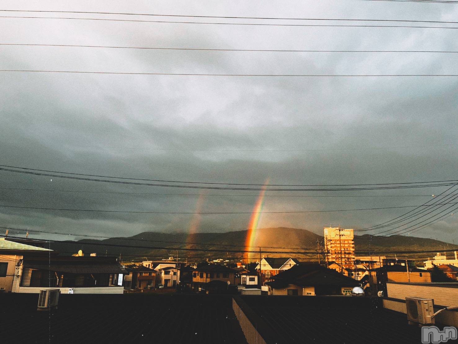 ��ˬ����Х��顦����֥���� �ץ���� ��ˬ(����� �ץ���� ����) ��2025ǯ7��15���̥�֥�����🧡��