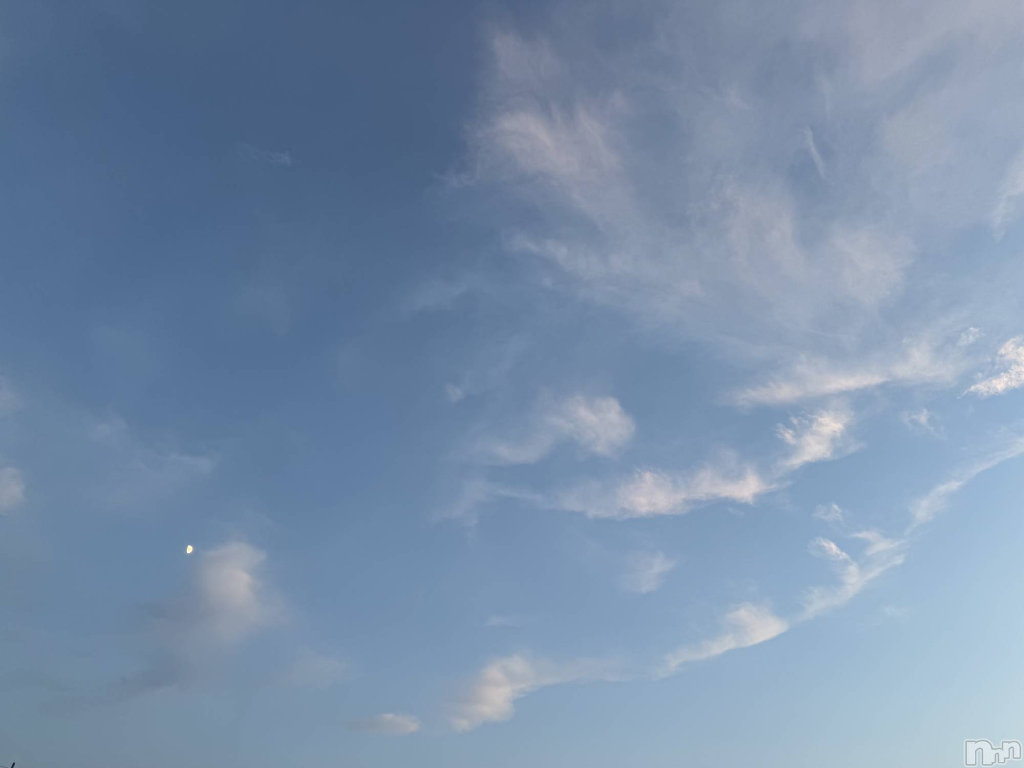 ��ˬ����Х��顦����֥���� �ץ���� ��ˬ(����� �ץ���� ����) ��2025ǯ8��5���̥�֥�����🩵��