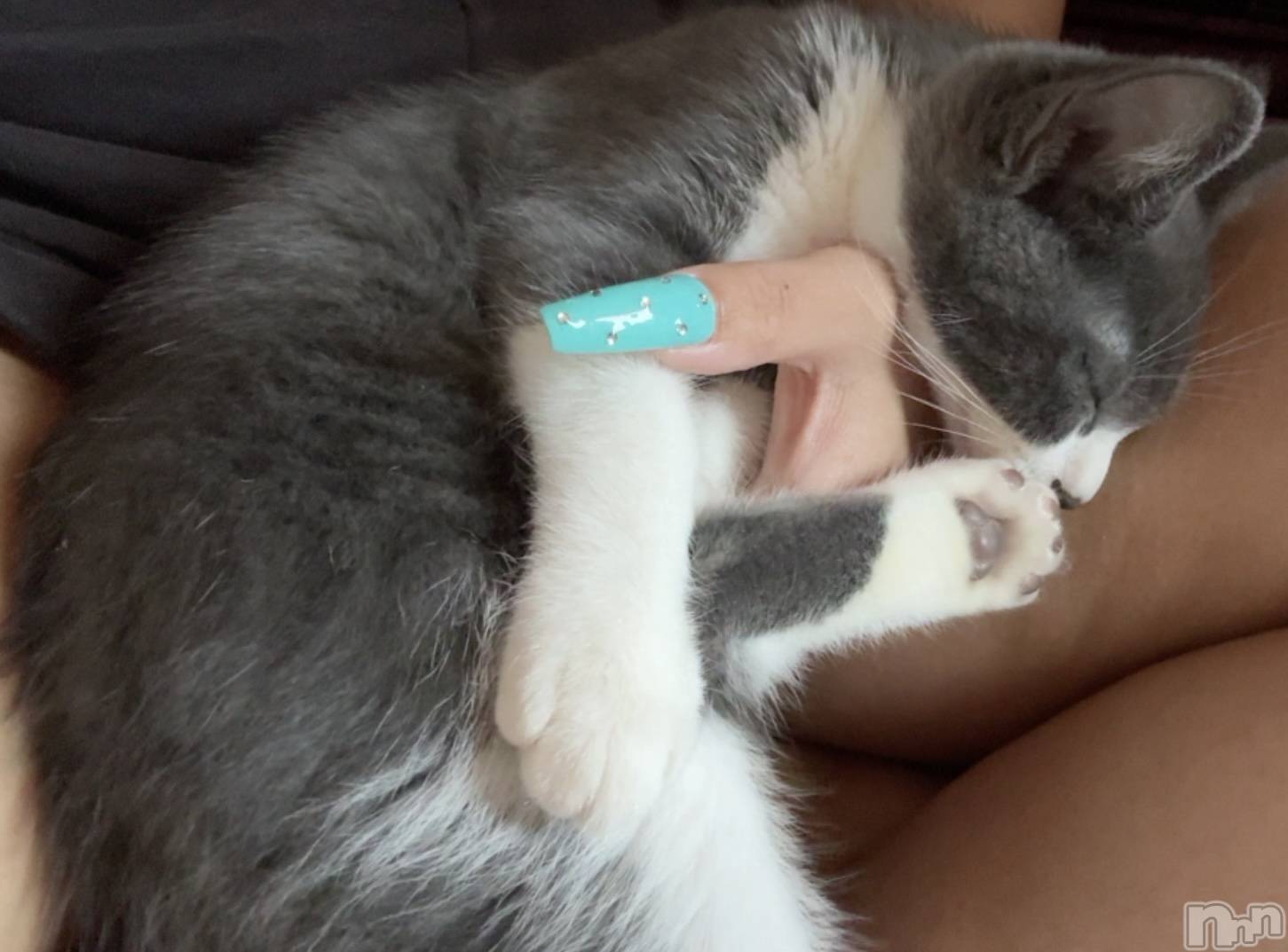 ��ˬ����Х��顦����֥���� �ץ���� ��ˬ(����� �ץ���� ����) ��2025ǯ8��25���̥�֥�����🩶��