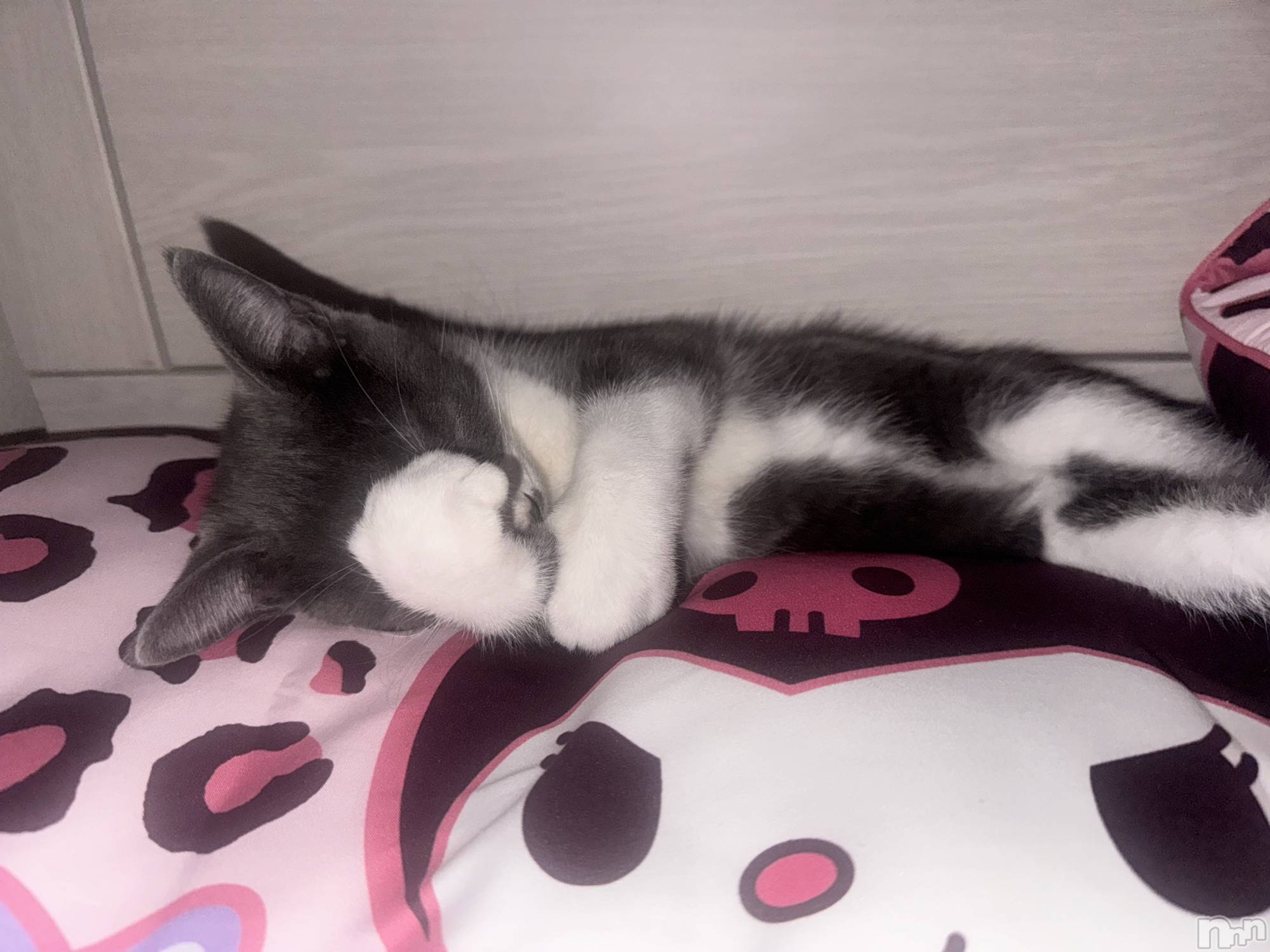 ��ˬ����Х��顦����֥���� �ץ���� ��ˬ(����� �ץ���� ����) ��2025ǯ8��27���̥�֥�����🩷��