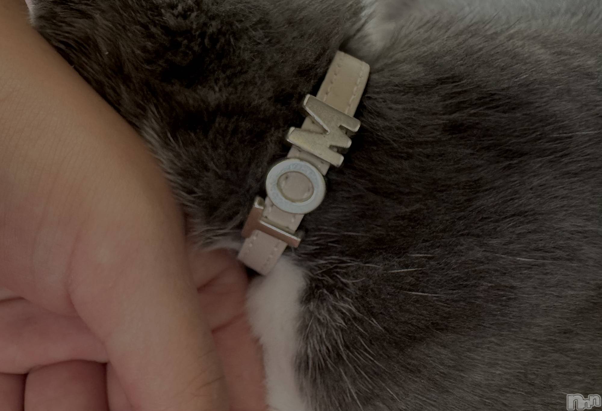 ��ˬ����Х��顦����֥���� �ץ���� ��ˬ(����� �ץ���� ����) ��2025ǯ9��2���̥�֥�����🖤��