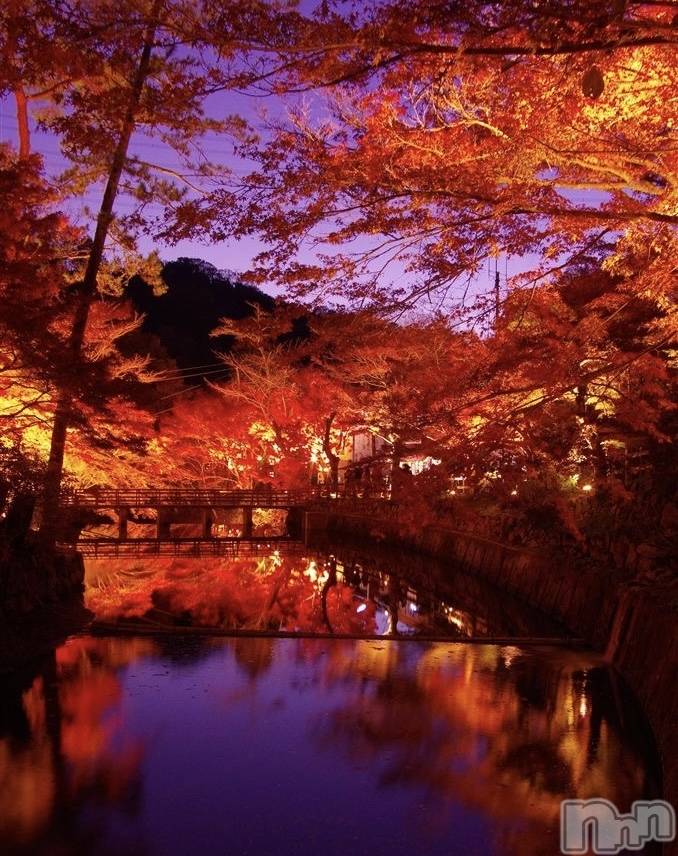 ��ˬ����Х��顦����֥���� �ץ���� ��ˬ(����� �ץ���� ����) ��2025ǯ9��8���̥�֥�����🧡��