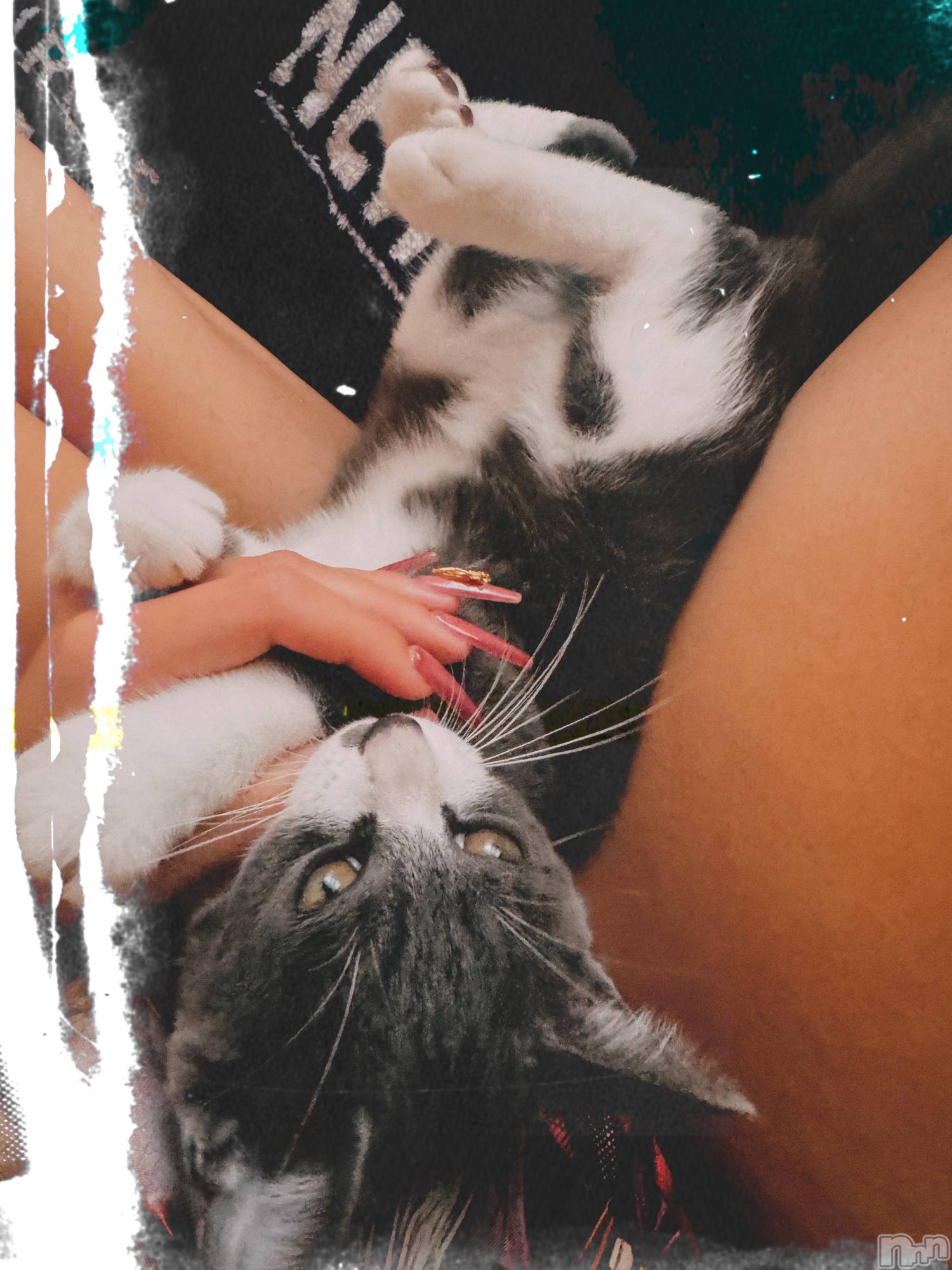 ��ˬ����Х��顦����֥���� �ץ���� ��ˬ(����� �ץ���� ����) ��2025ǯ9��27���̥�֥�����🖤��