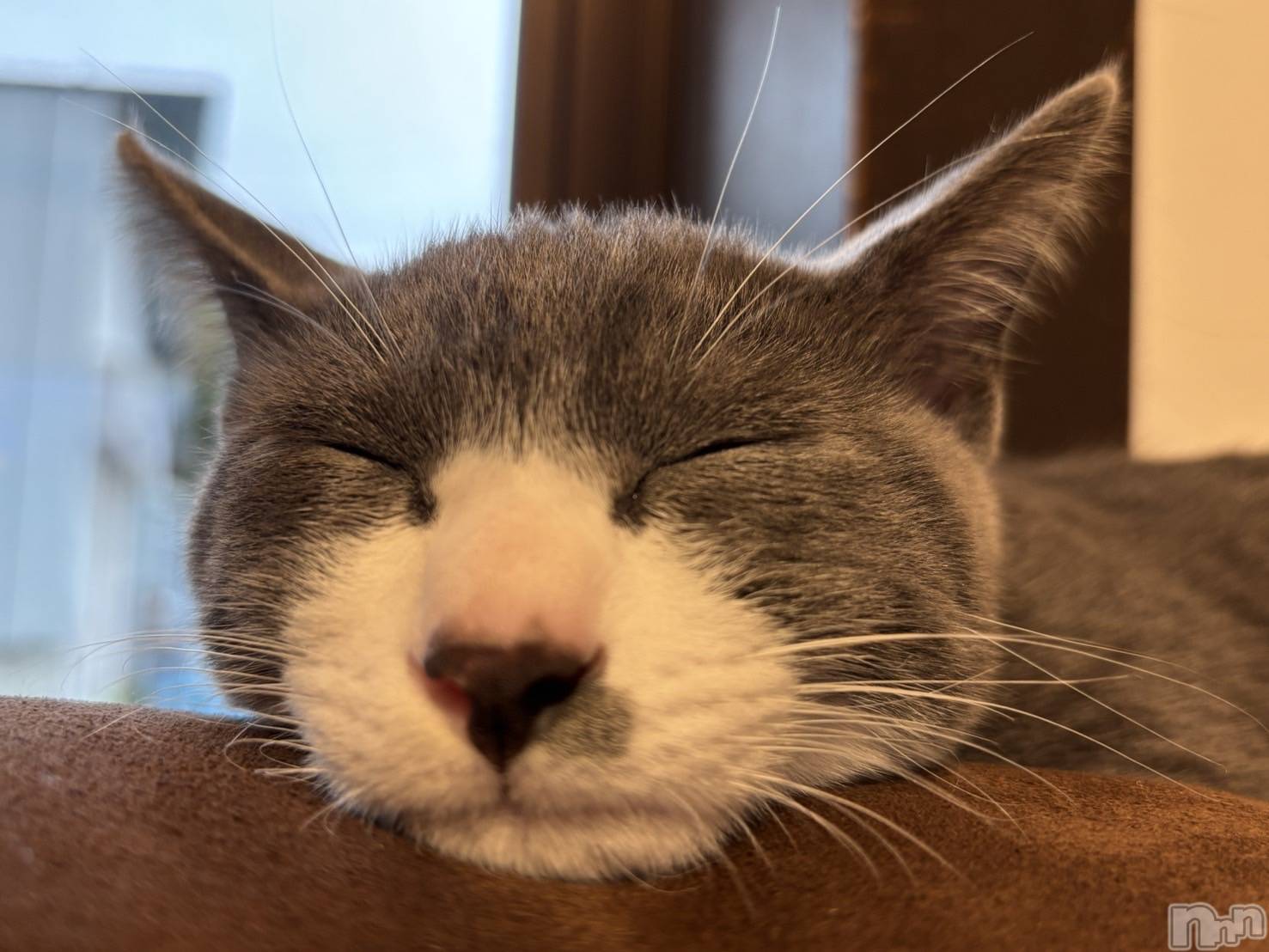 ��ˬ����Х��顦����֥���� �ץ���� ��ˬ(����� �ץ���� ����) ��2025ǯ10��16���̥�֥�����🩶��