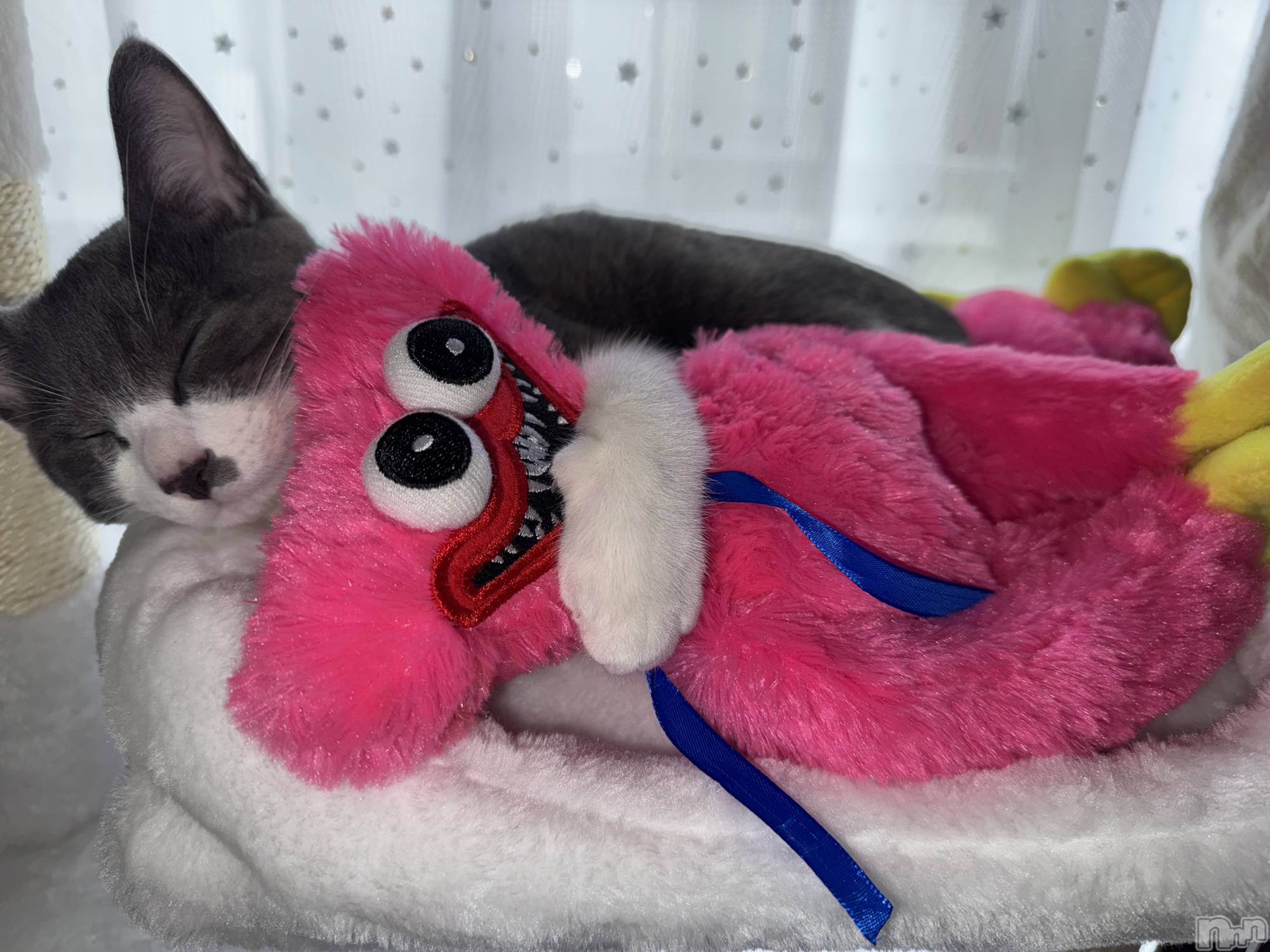 ��ˬ����Х��顦����֥���� �ץ���� ��ˬ(����� �ץ���� ����) ��2025ǯ10��31���̥�֥�����🩷��