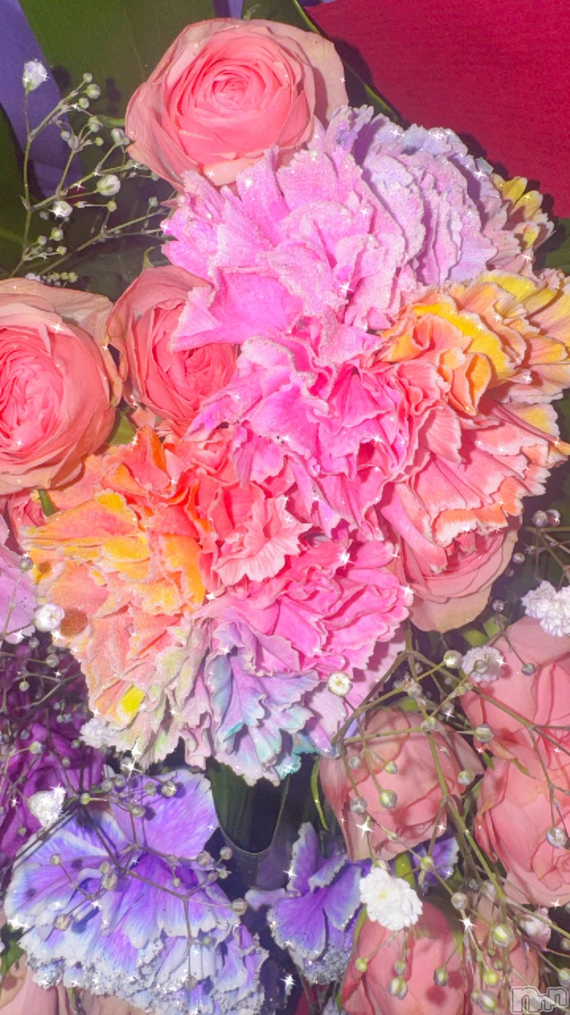 ��ˬ����Х��顦����֥���� �ץ���� ��ˬ(����� �ץ���� ����) ��2025ǯ11��1���̥�֥�����🩷��