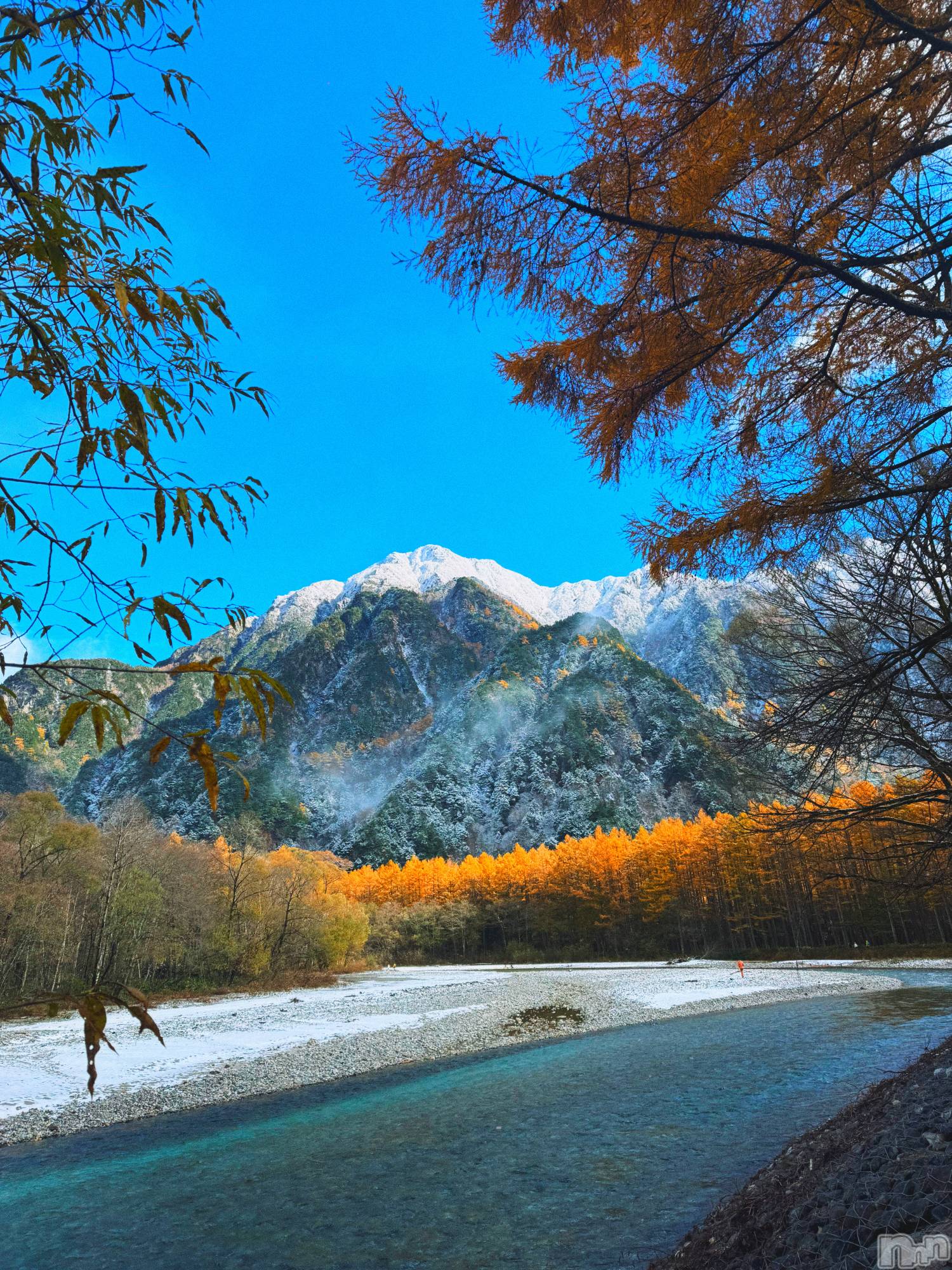 ��ˬ����Х��顦����֥���� �ץ���� ��ˬ(����� �ץ���� ����) ��2025ǯ11��4���̥�֥�����🧡��