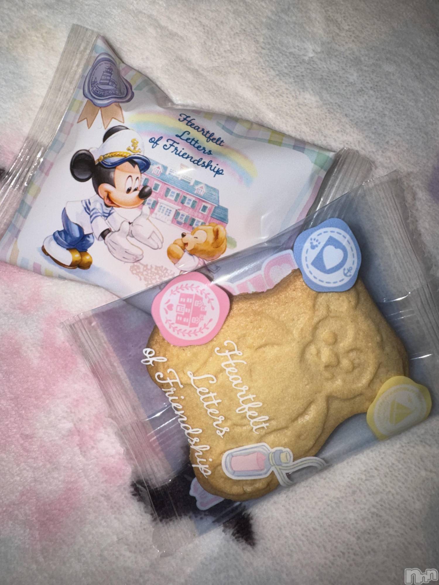 ��ˬ����Х��顦����֥���� �ץ���� ��ˬ(����� �ץ���� ����) ��2026ǯ3��3���̥�֥�����🩵��