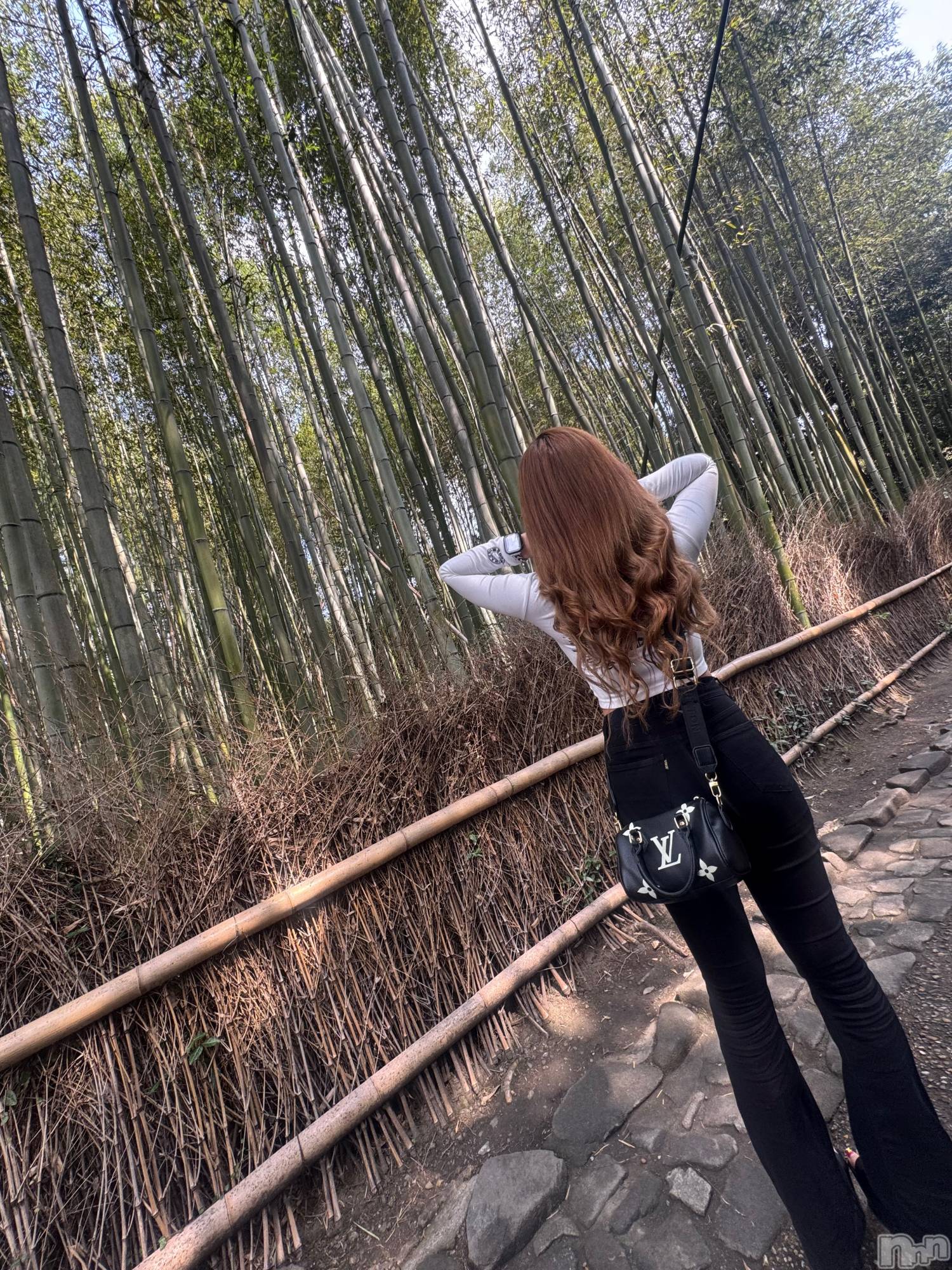 ��ˬ����Х��顦����֥���� �ץ���� ��ˬ(����� �ץ���� ����) ��2026ǯ3��31���̥�֥�����💚��