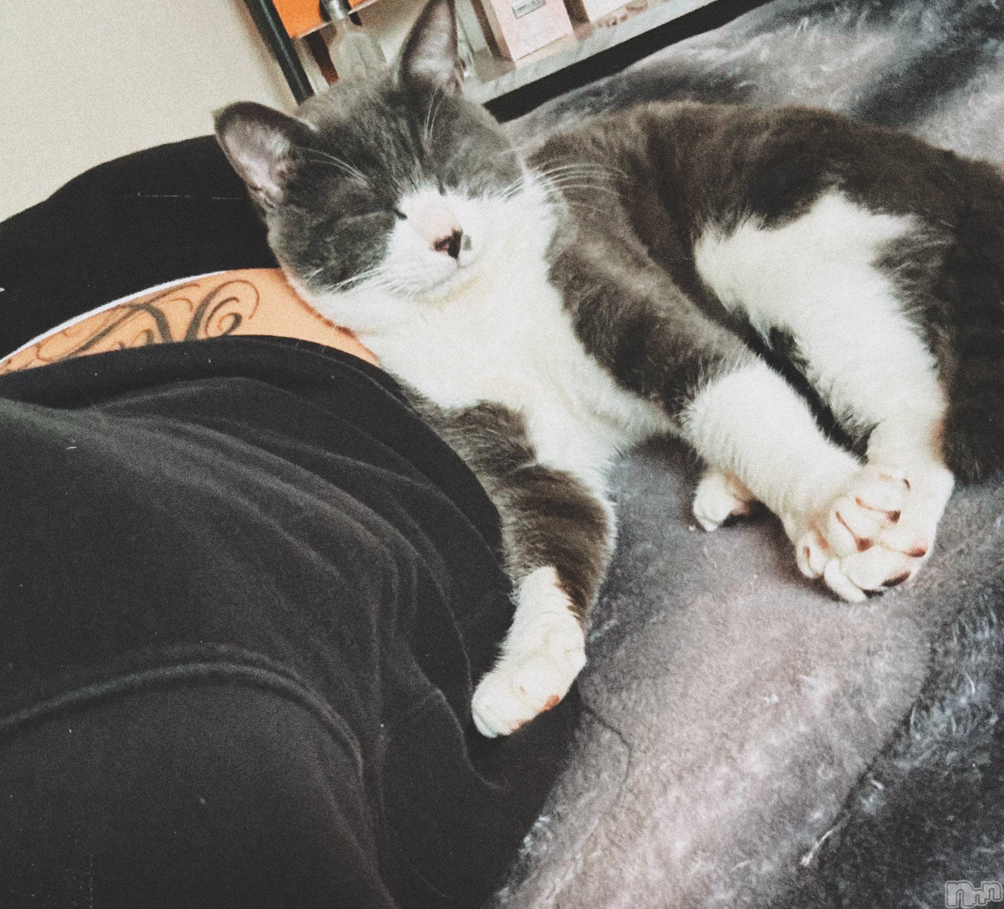 ��ˬ����Х��顦����֥���� �ץ���� ��ˬ(����� �ץ���� ����) ��2026ǯ4��10���̥�֥�����🖤��