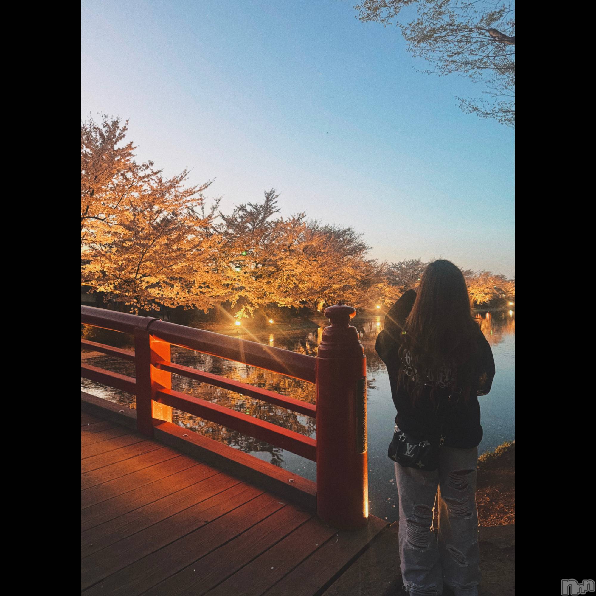 ��ˬ����Х��顦����֥���� �ץ���� ��ˬ(����� �ץ���� ����) ��2026ǯ4��16���̥�֥�����🩷��