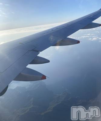 ��ˬ����Х��顦����֥���� �ץ���� ��ˬ(����� �ץ���� ����) �ϰ� �椺���6��20���̥�֥�����🩵��