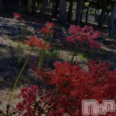 ��ˬ����Х��顦����֥���� �ץ���� ��ˬ(����� �ץ���� ����) �ϰ� �椺���9��13���̥�֥�����❤️��