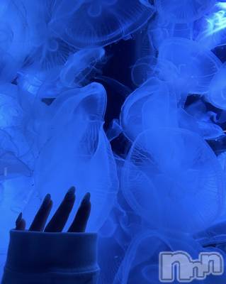 ��ˬ����Х��顦����֥���� �ץ���� ��ˬ(����� �ץ���� ����) �ϰ� �椺���9��17���̥�֥�����🩵��