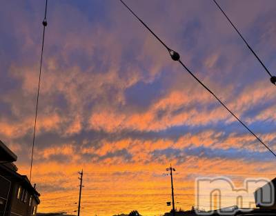 ��ˬ����Х��顦����֥���� �ץ���� ��ˬ(����� �ץ���� ����) �ϰ� �椺���9��25���̥�֥�����🧡��