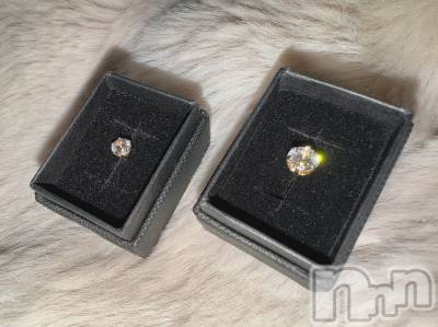 ��ˬ����Х��顦����֥���� �ץ���� ��ˬ(����� �ץ���� ����) �ϰ� �椺���10��10���̥�֥�����🤍��