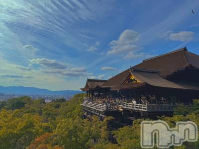 ��ˬ����Х��顦����֥���� �ץ���� ��ˬ(����� �ץ���� ����) �ϰ� �椺���10��18���̥�֥�����🧡��