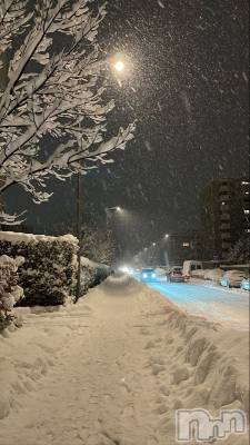 ��ˬ����Х��顦����֥���� �ץ���� ��ˬ(����� �ץ���� ����) �ϰ� �椺���11��19���̥�֥�����🤍��