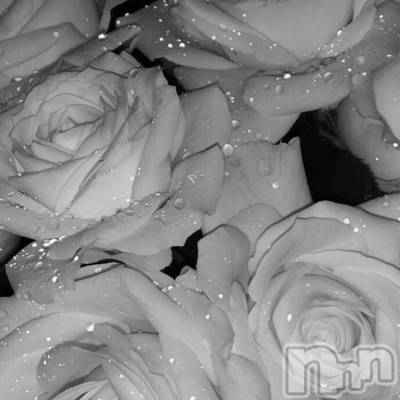 ��ˬ����Х��顦����֥���� �ץ���� ��ˬ(����� �ץ���� ����) �ϰ� �椺���12��11���̥�֥�����🖤��